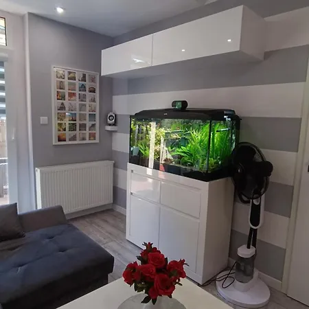 Apartament Rodzinny Z Ogrodkiem W Centrum Gizycka Lötzen Exterior foto